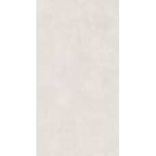 Керамогранит Lasselsberger Иней 6493-0137 60*120 светло-серый